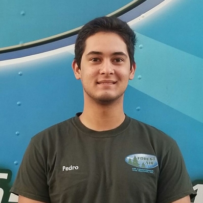 Pedro Photo