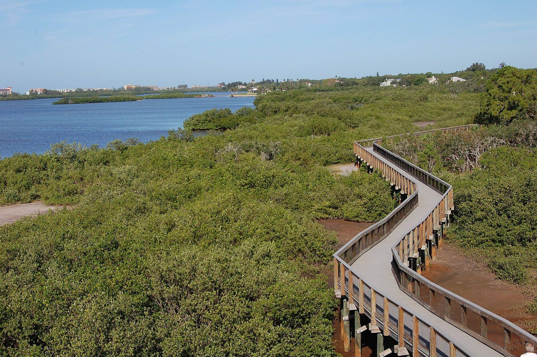Boardwalk through Boca Ciega Millennium Park in Seminole, FL