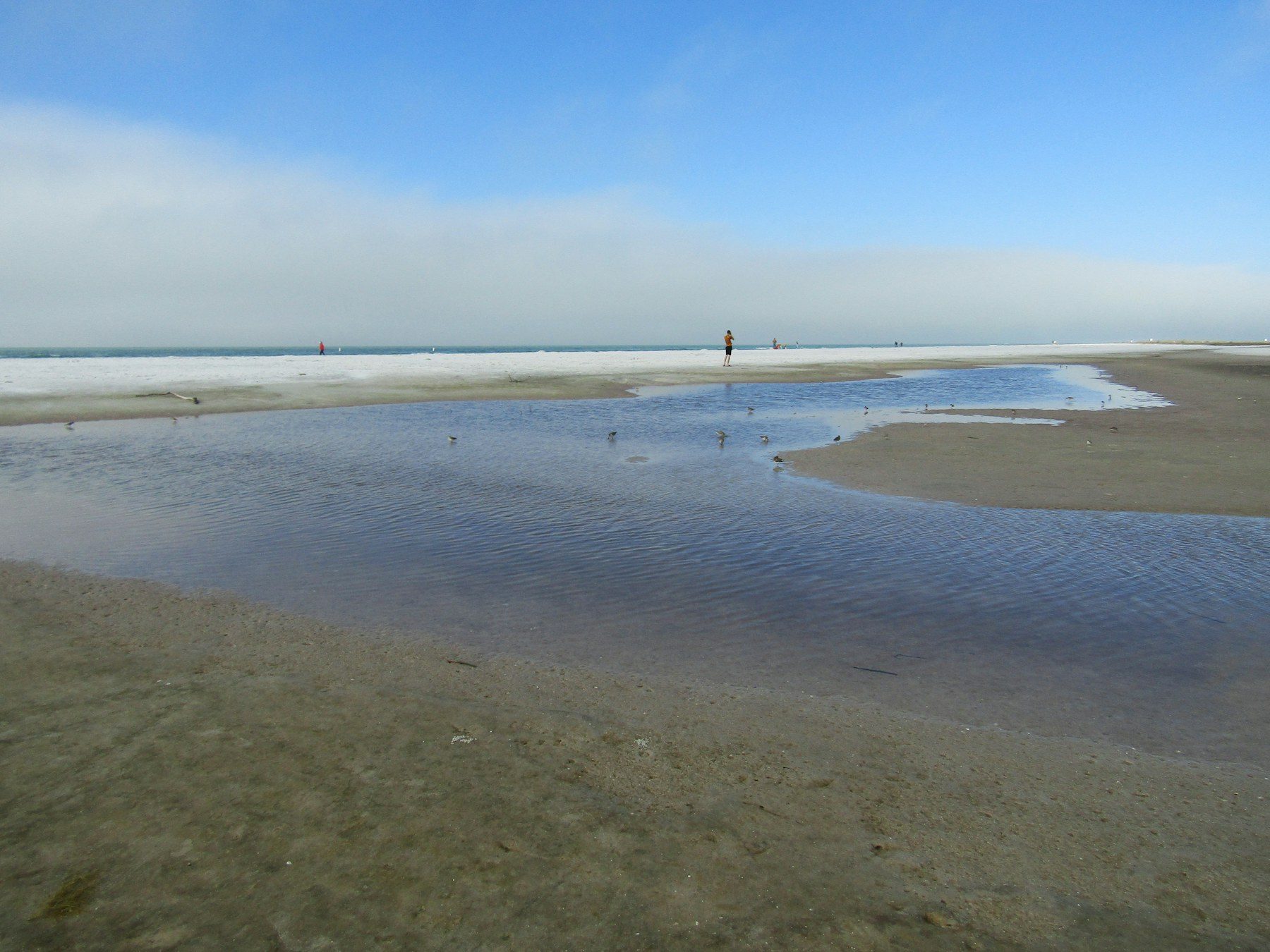 Beach at Fort De Soto Park near Tierra Verde, FL