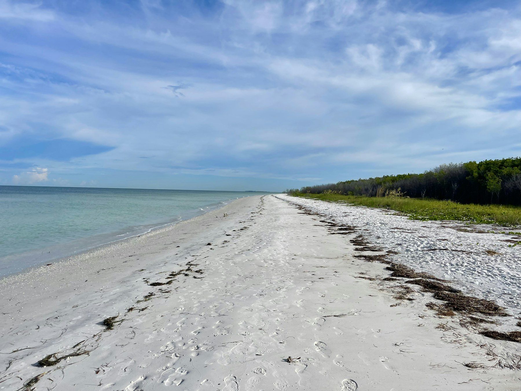 White-sand beach at Honeymoon Island State Park in Dunedin, FL