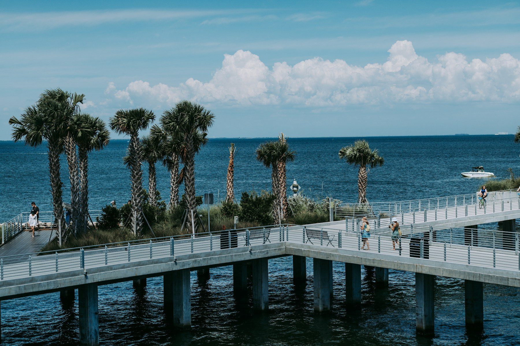 Palm-lined walkway at the St. Pete Pier in St. Petersburg, FL