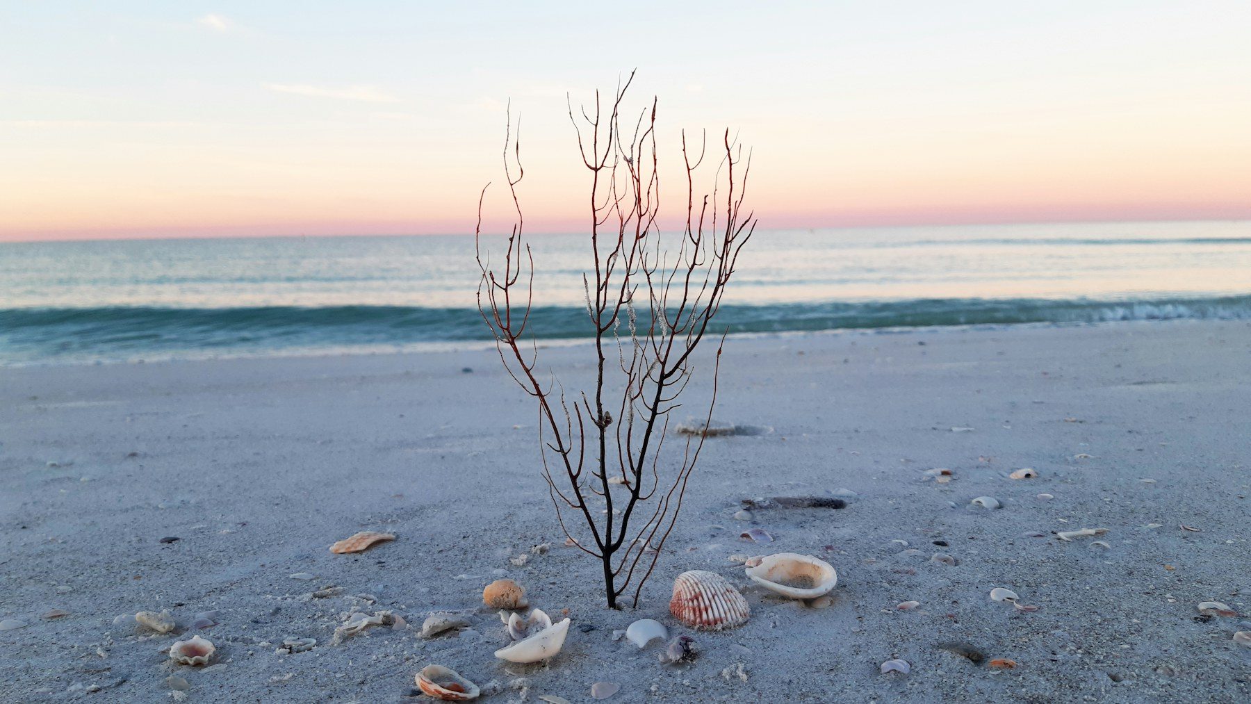 Beach at sunset in Treasure Island, FL